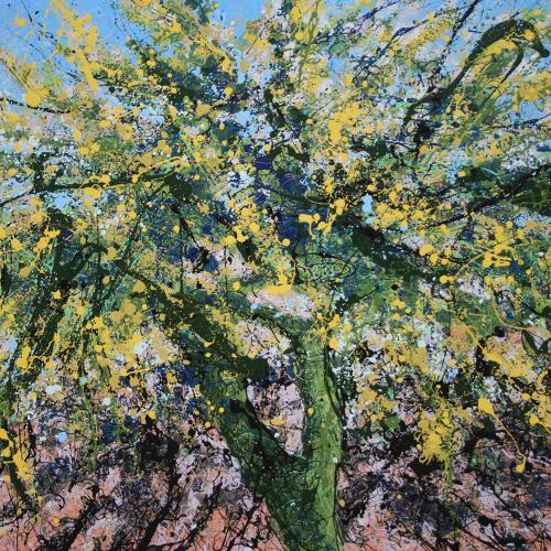 Palo Verde in Arizona Latex Enamel Painting on Gallery Wrapped Canvas by Fort Collins, Colorado Artist Lisa Cameron Russell