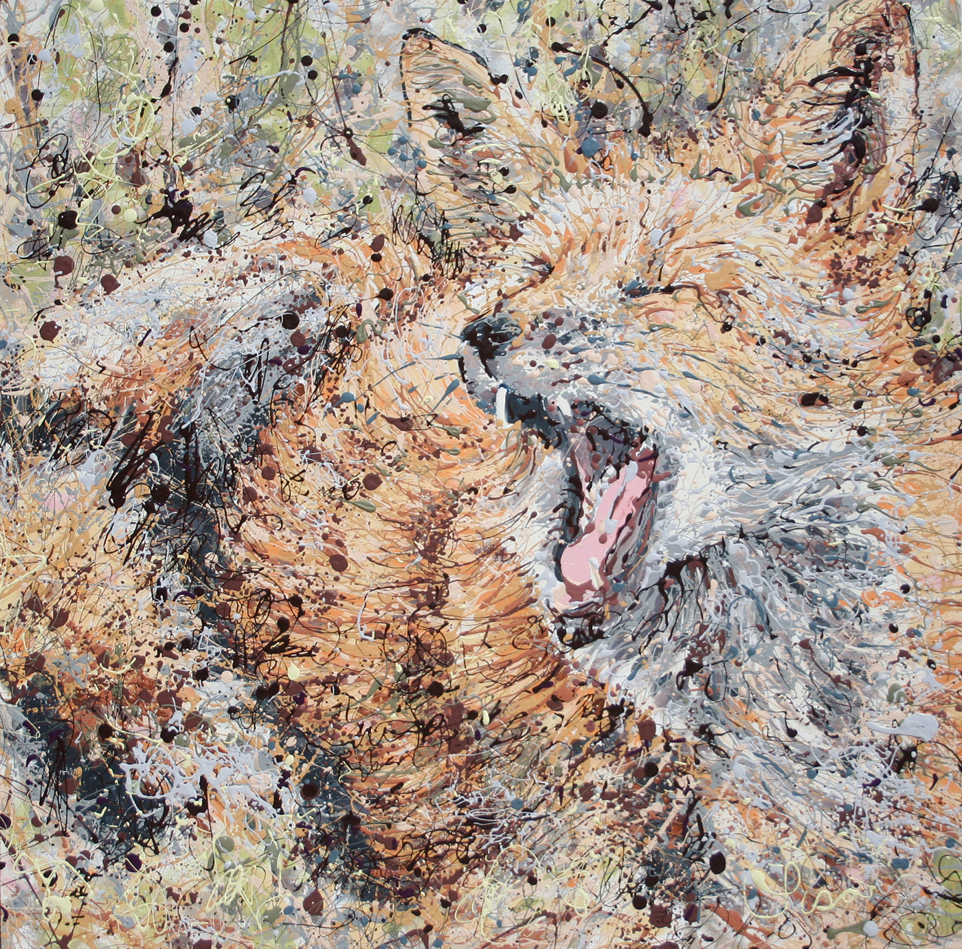 Neighborhood Fox Latex Enamel Painting on Gallery Wrapped Canvas by Fort Collins, Colorado Artist  Lisa Cameron Russell