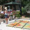 Art in Action Fort Collins